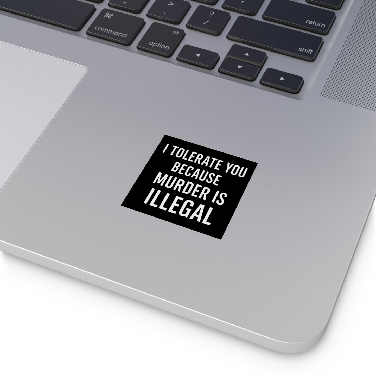 BMB Stickers - "I Tolerate You Because Murder Is Illegal"