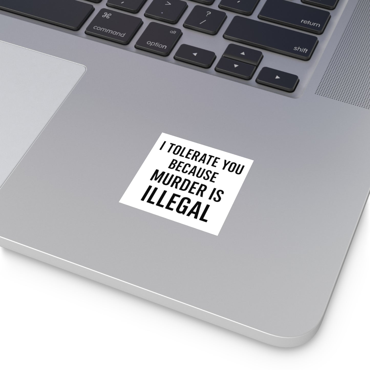 BMB Stickers - "I Tolerate You Because Murder Is Illegal"